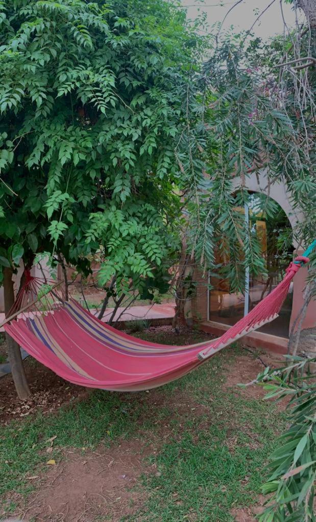 villa Marrakech raja Marrakesh Exteriör bild